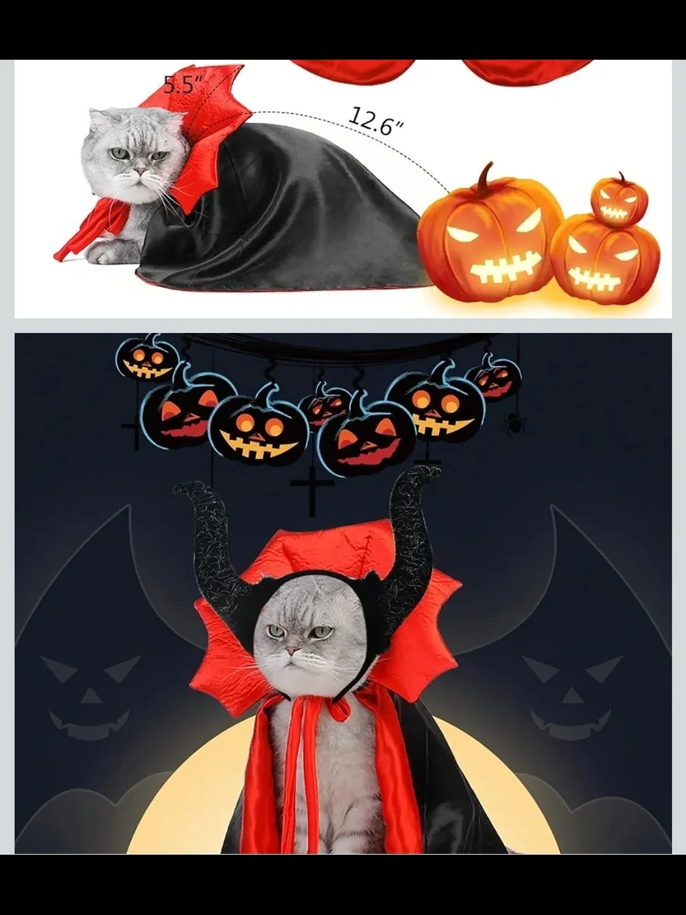 Pet Costume